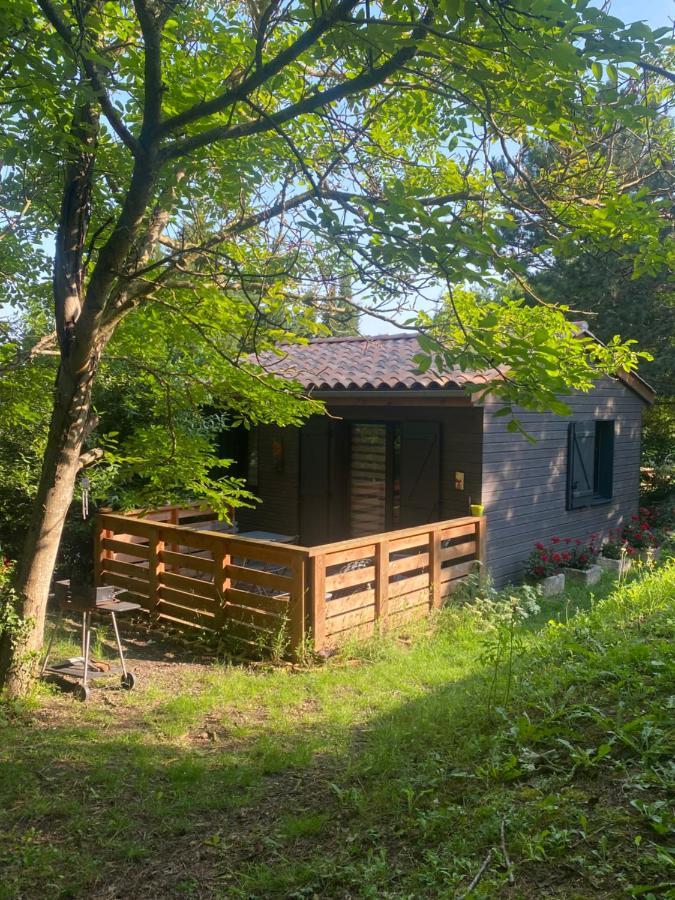 Fanjeaux Aude Le Chalet Экстерьер фото